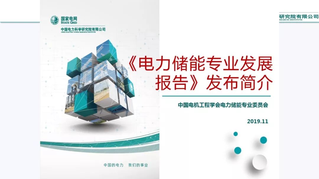 電力儲(chǔ)能專業(yè)發(fā)展報(bào)告